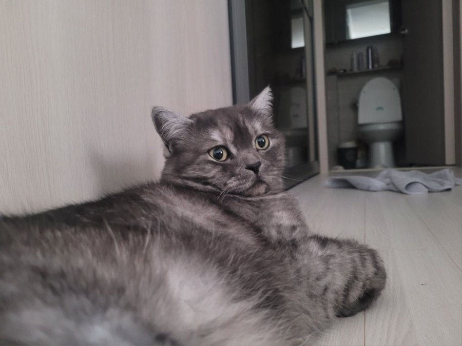 츮 