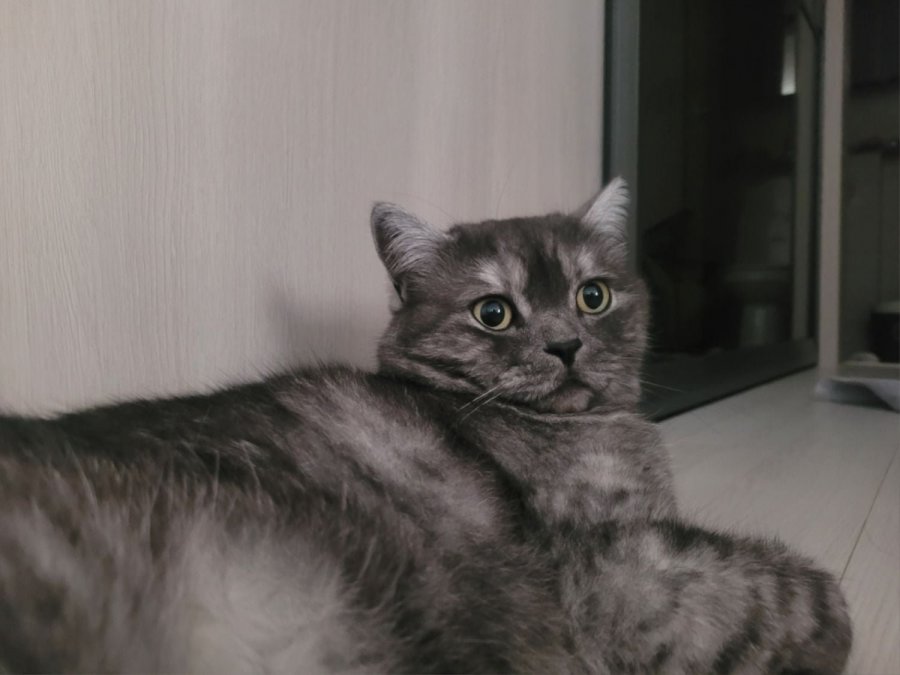 츮 