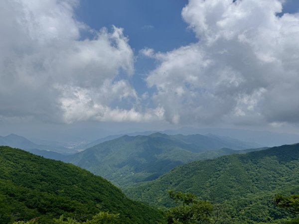 IMG_9964.jpg