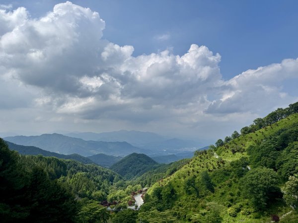 IMG_9966.jpg