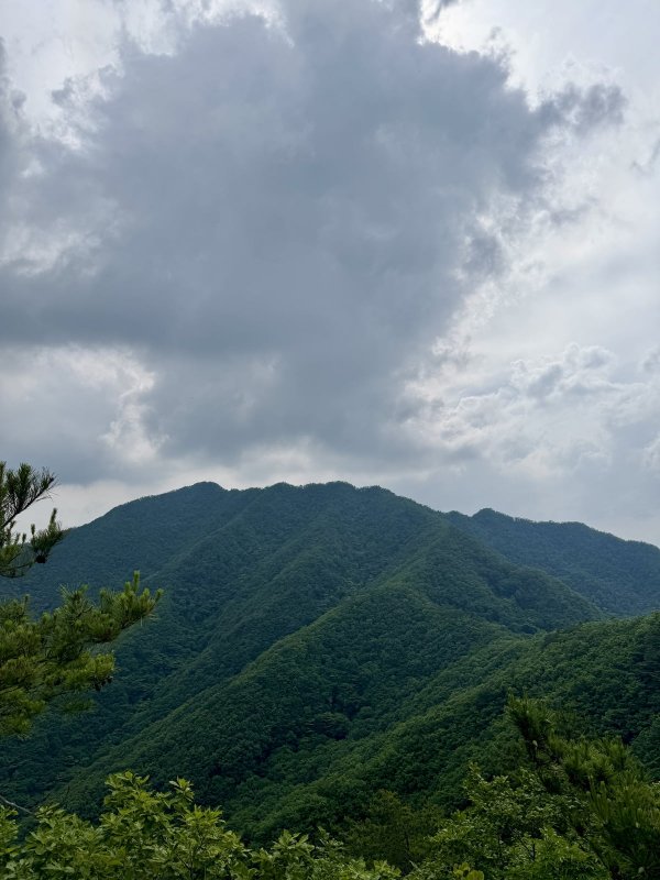 IMG_9976.jpg