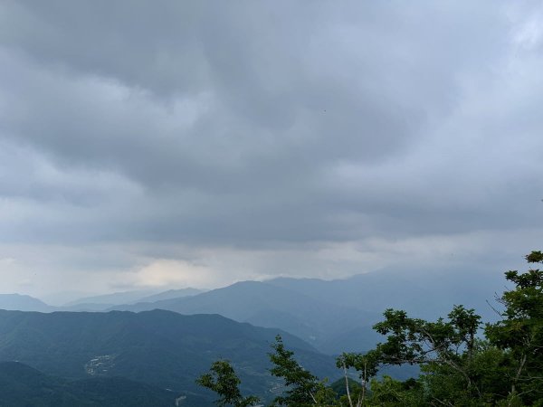 IMG_9984.jpg