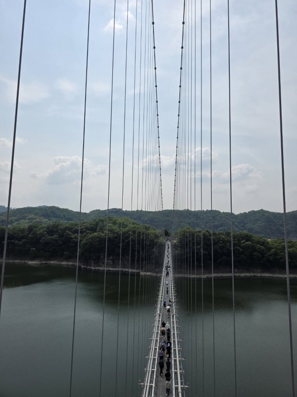 출렁다리입니다