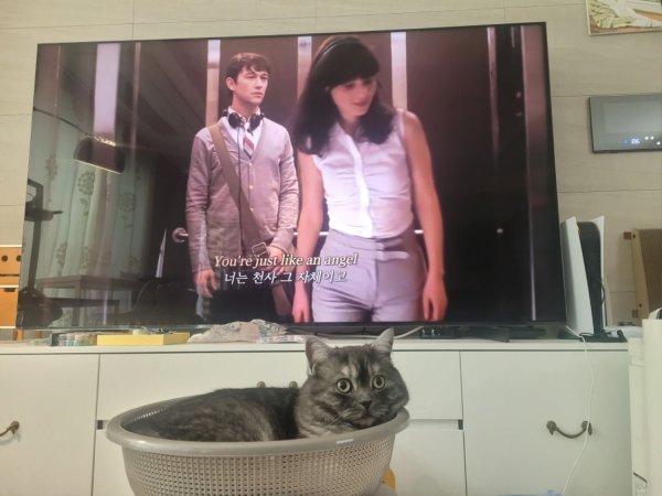 우리집 깜지