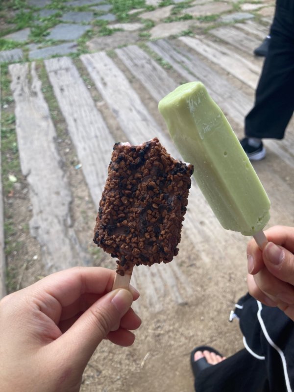 돼지바 메로나