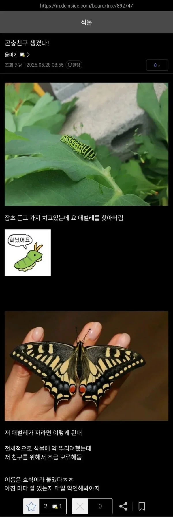 1000020056.webp