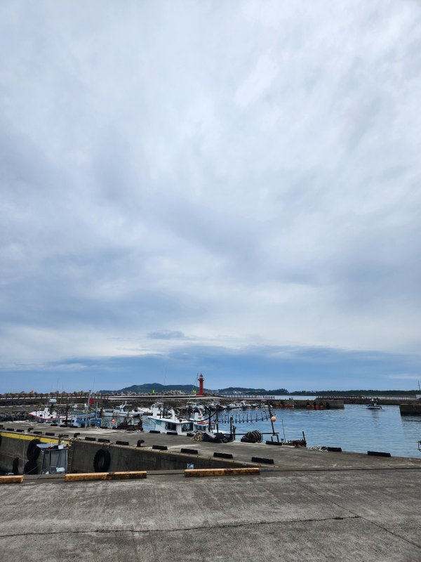 제주도