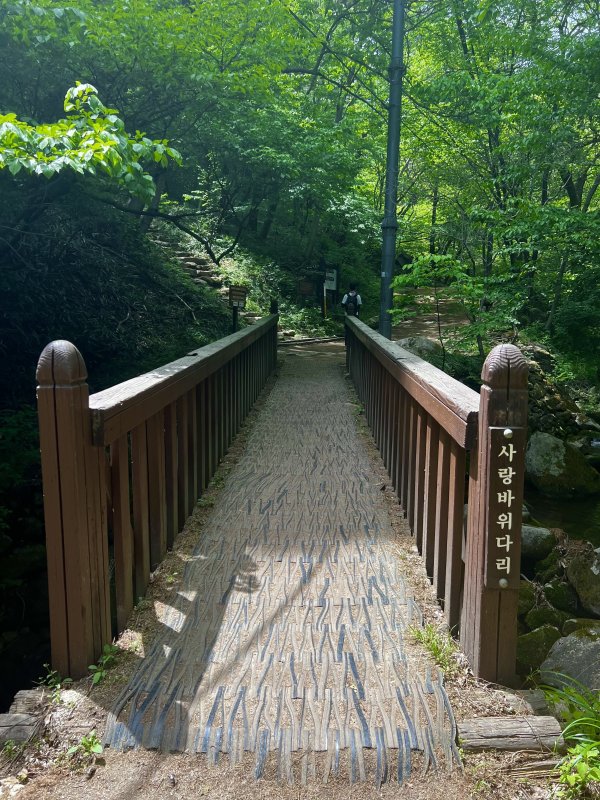 모악산 풍경 (100대명산)