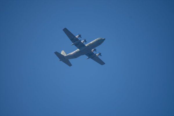 C-130과 어린 참새,그리고 후투티 날샷