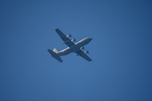C-130과 어린 참새,그리고 후투티 날샷