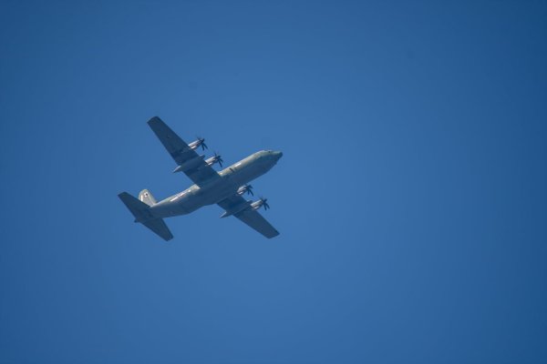 C-130과 어린 참새,그리고 후투티 날샷