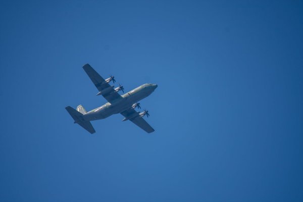 C-130과 어린 참새,그리고 후투티 날샷