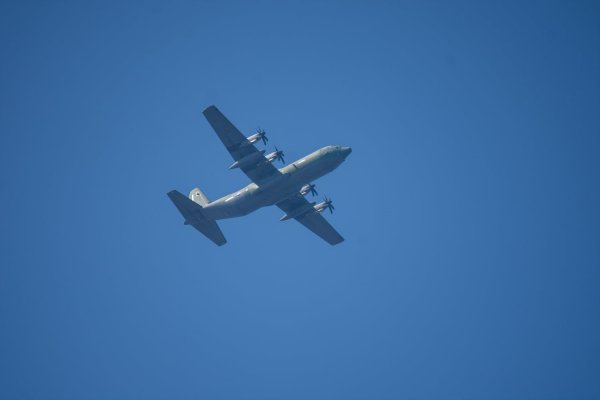 C-130과 어린 참새,그리고 후투티 날샷