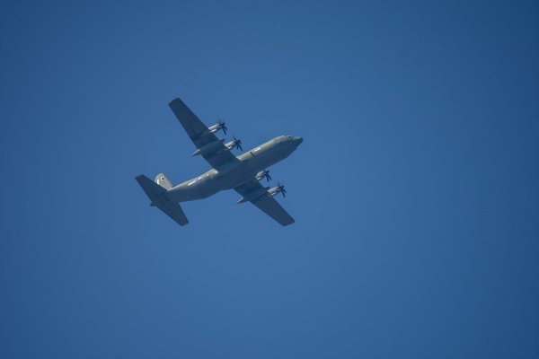 C-130과 어린 참새,그리고 후투티 날샷