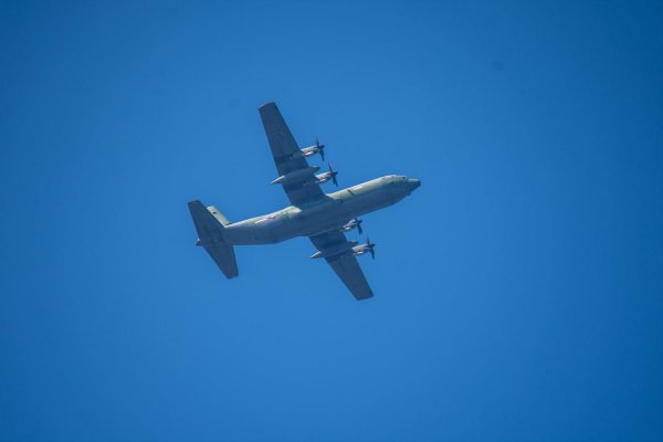C-130과 어린 참새,그리고 후투티 날샷