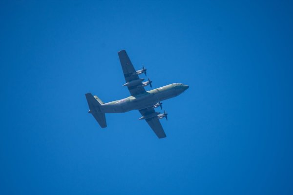 C-130과 어린 참새,그리고 후투티 날샷