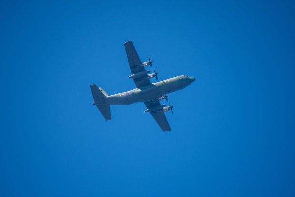 C-130과 어린 참새,그리고 후투티 날샷