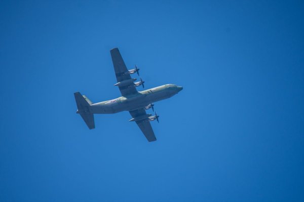 C-130과 어린 참새,그리고 후투티 날샷