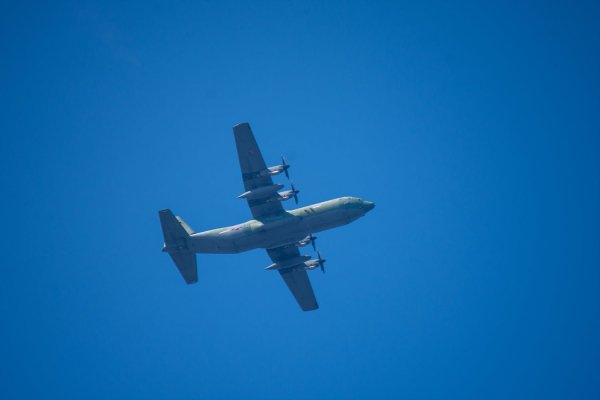 C-130과 어린 참새,그리고 후투티 날샷