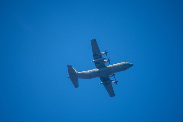 C-130과 어린 참새,그리고 후투티 날샷