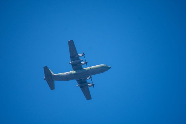 C-130과 어린 참새,그리고 후투티 날샷