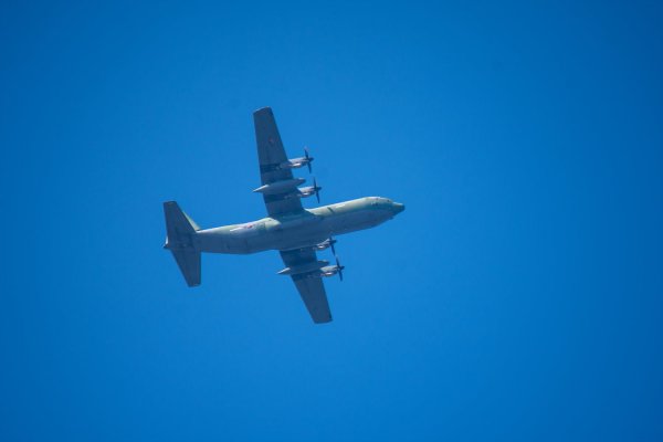 C-130과 어린 참새,그리고 후투티 날샷