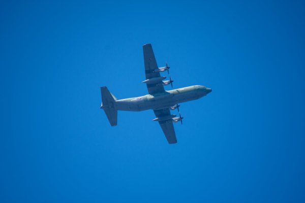 C-130과 어린 참새,그리고 후투티 날샷