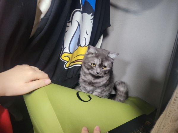 우리집 깜지