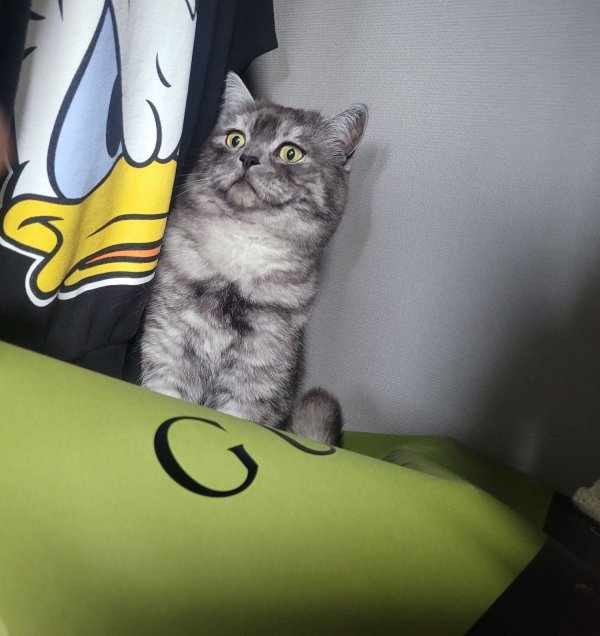 우리집 깜지