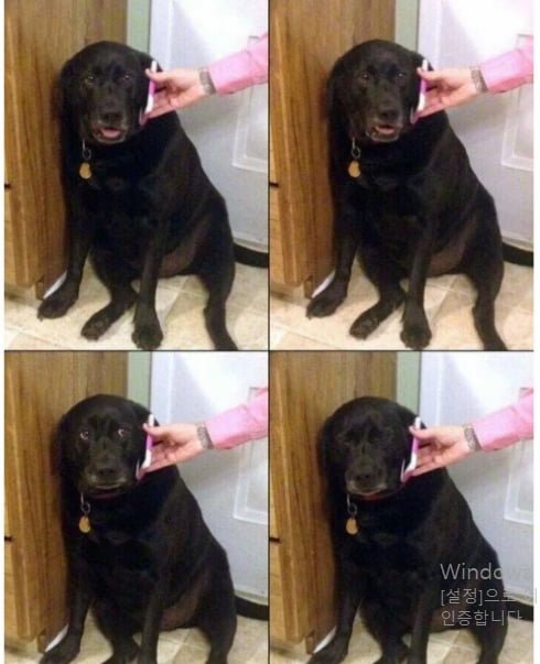 20250627144807_IUDtkrkC6S.png