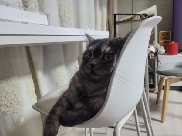 우리집 깜지