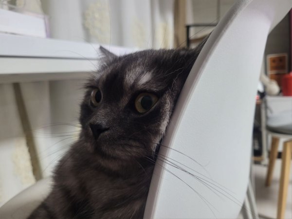 우리집 깜지