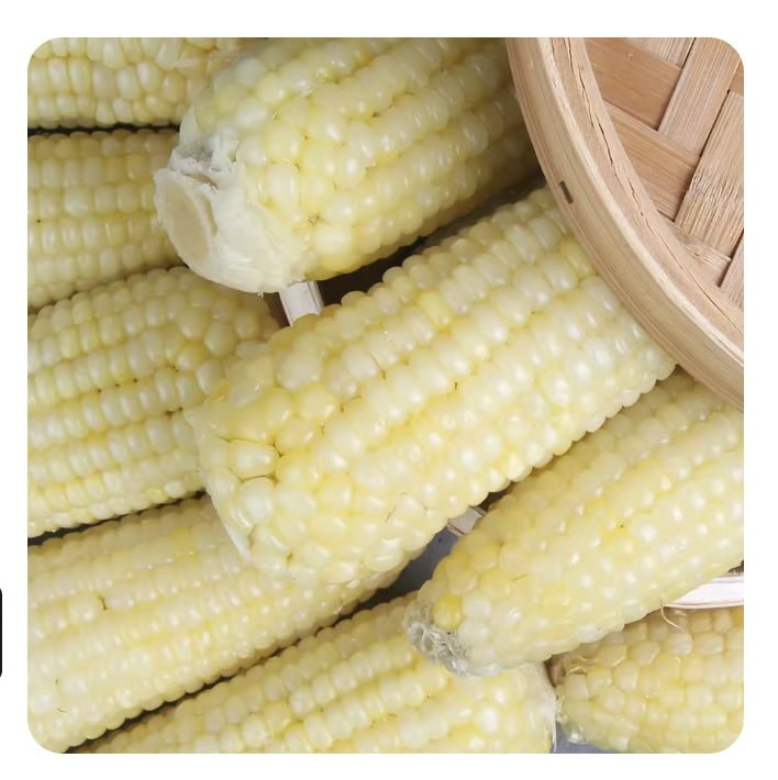 20250628163424_0r8nwc6C0o.png
