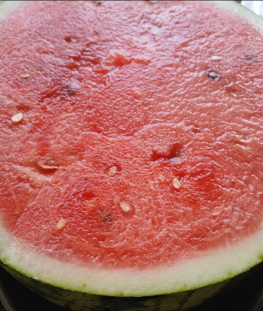 20250628121244_bYpeGJWm86.jpg