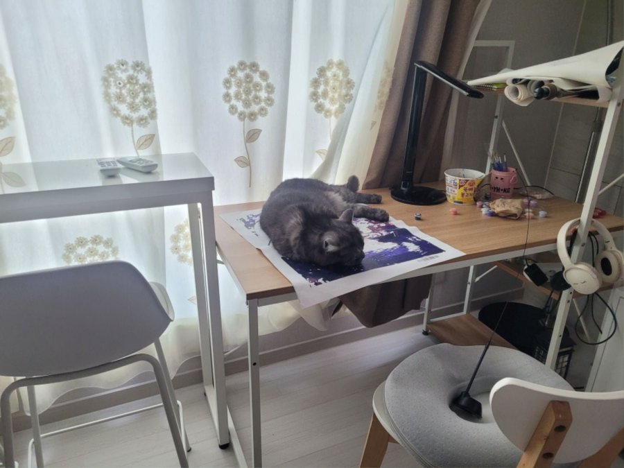 츮 