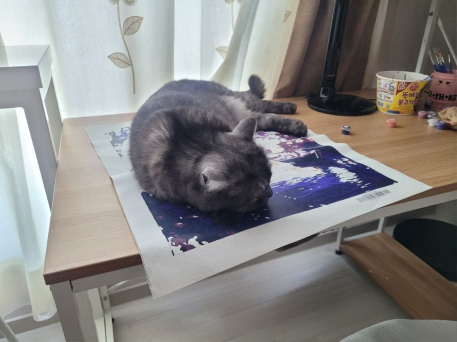 츮 