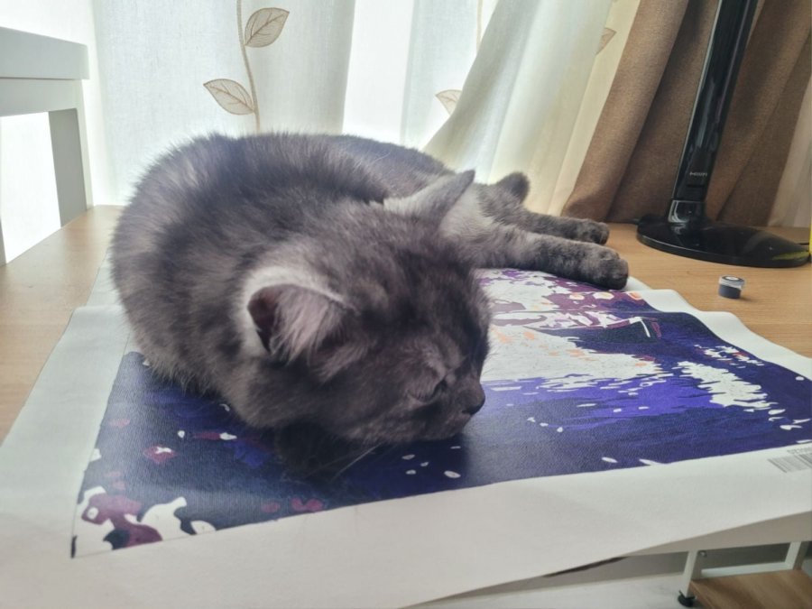 츮 