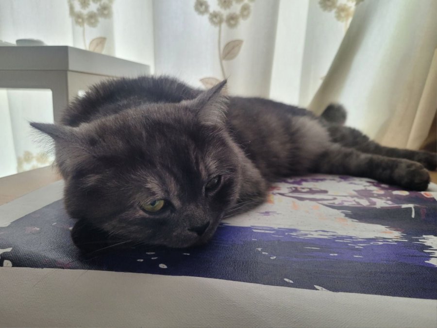 츮 