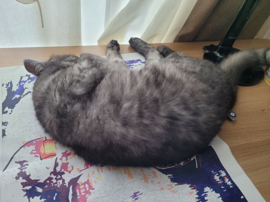 츮 