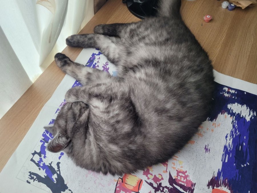 츮 