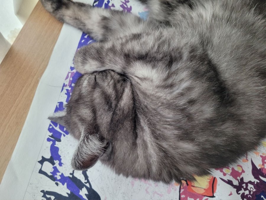 츮 