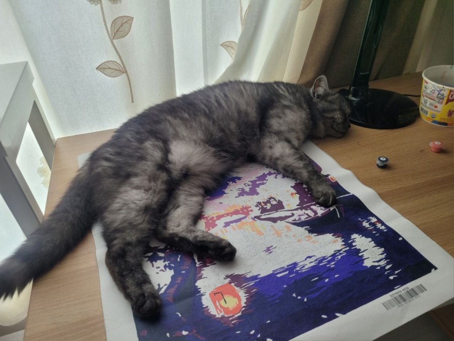 츮 