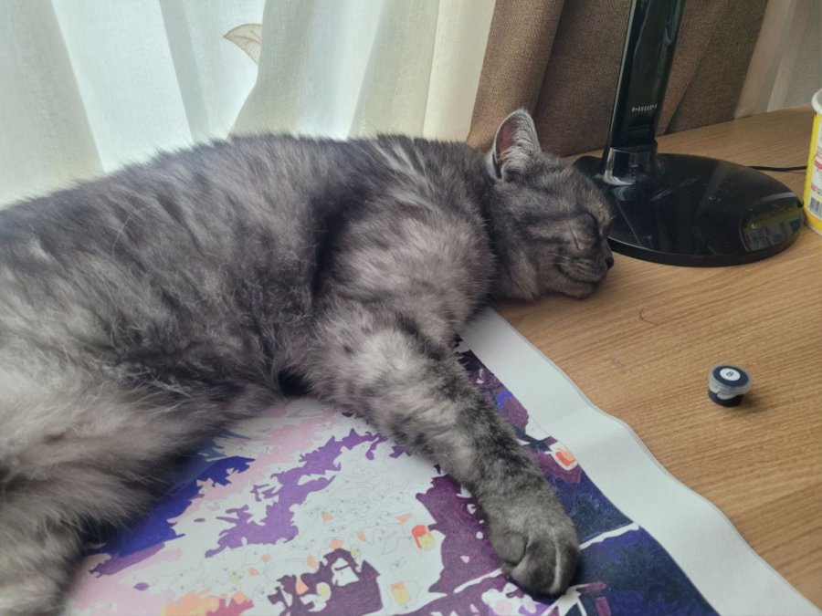 츮 