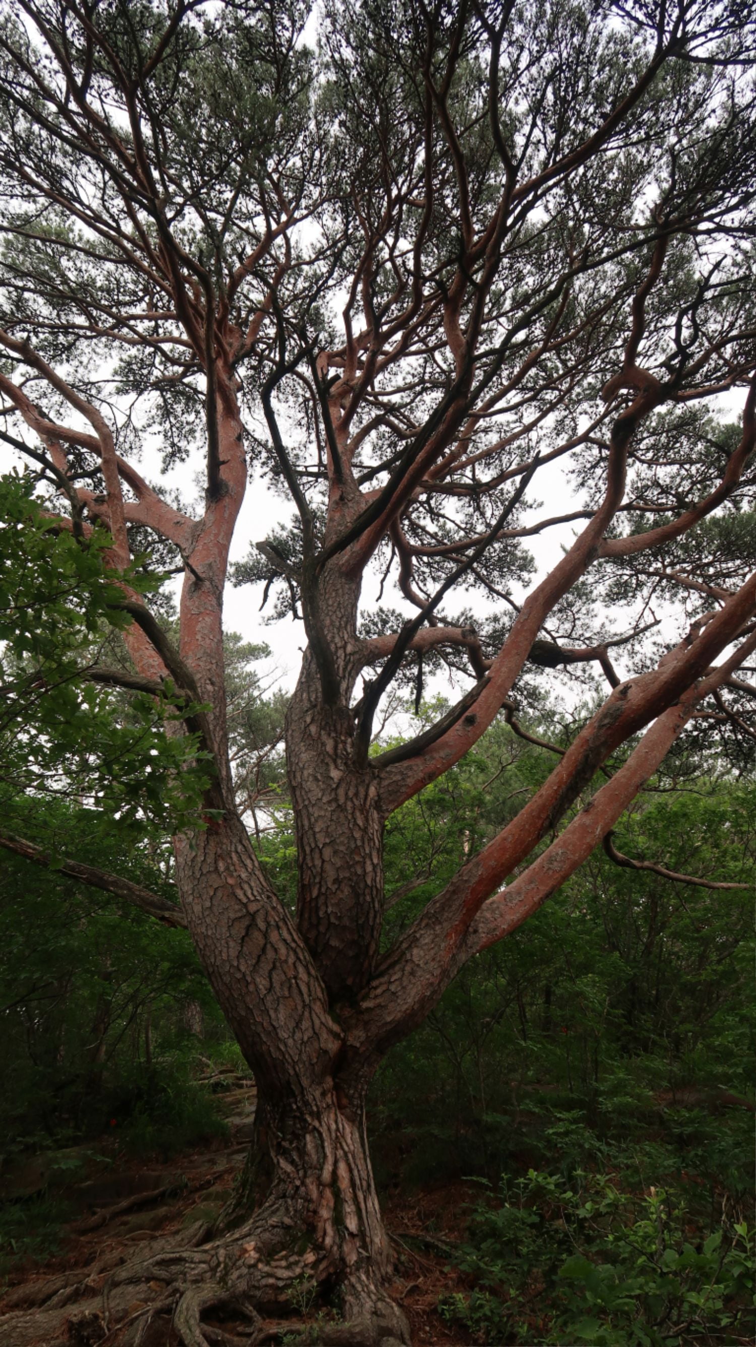 20250629141647_Lch6ibG2PX.jpg