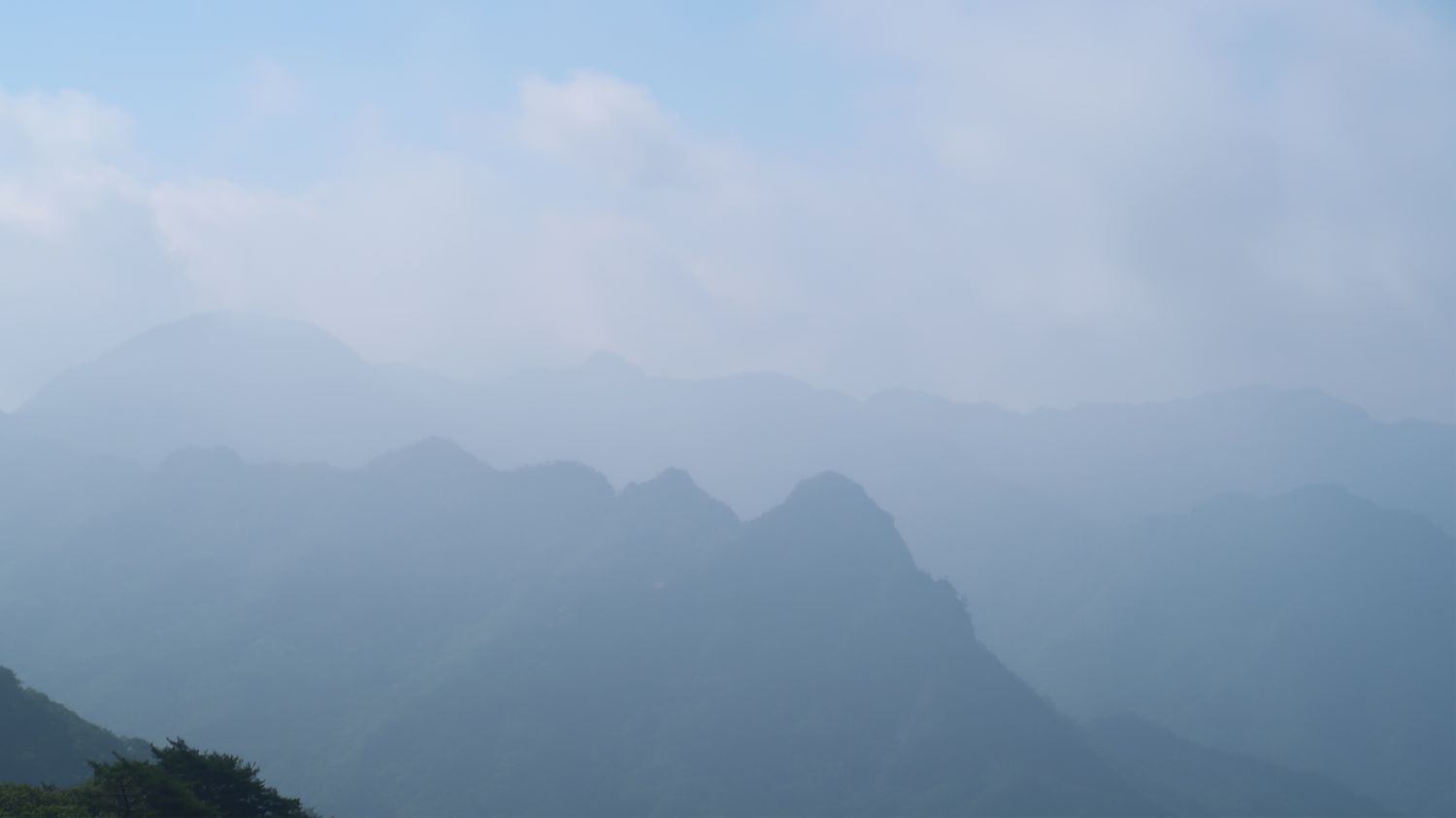 20250629141705_uU9a0we4rK.jpg