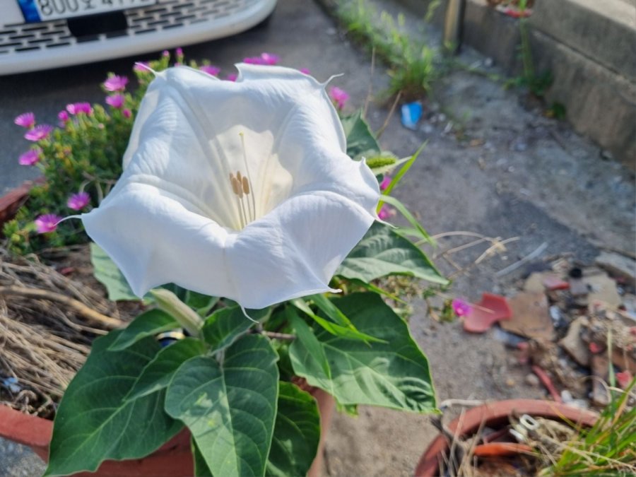ħ Ǳ濡  Դϴ