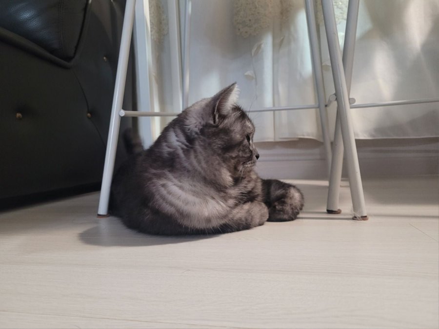 츮 