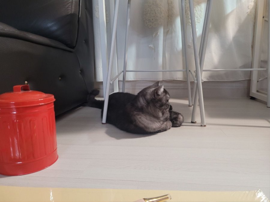 츮 