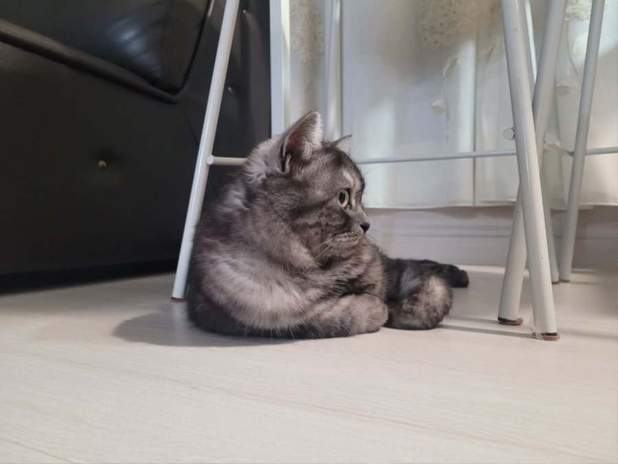 츮 
