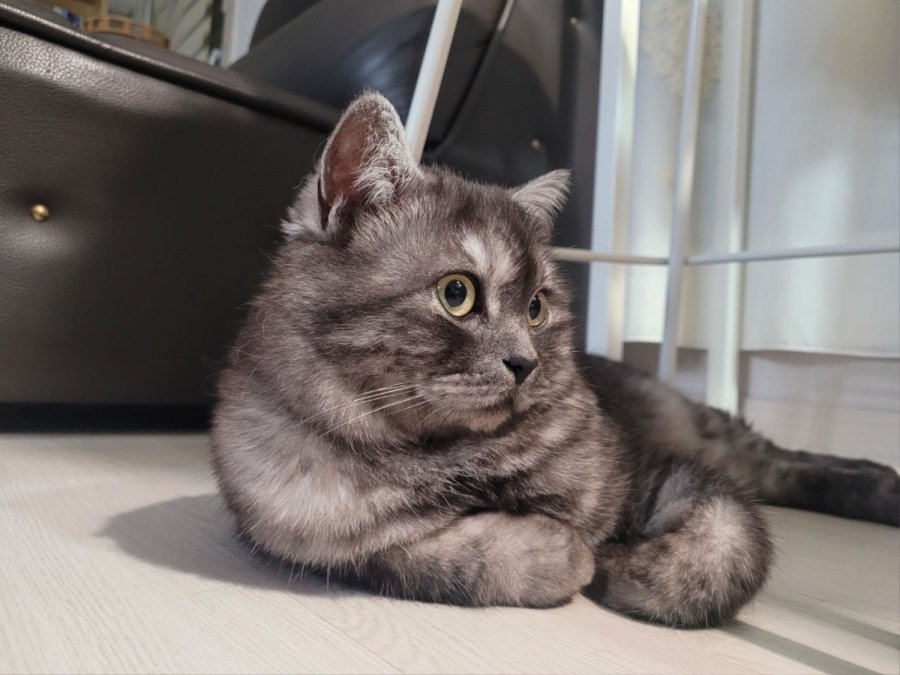츮 